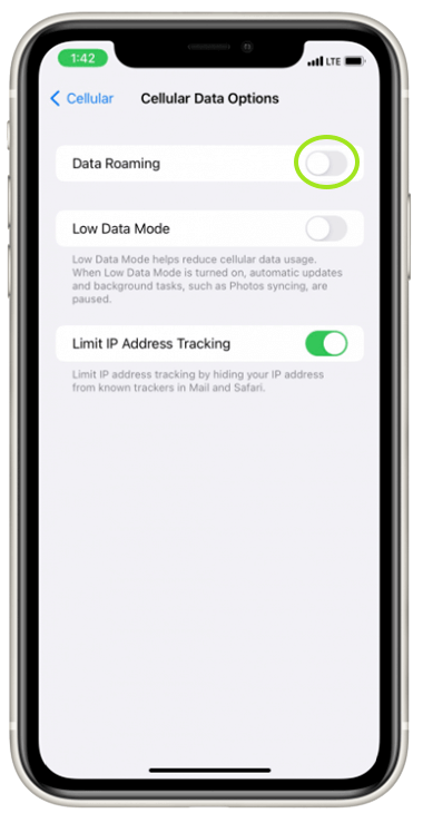 data roaming settings on iPhone screen step2