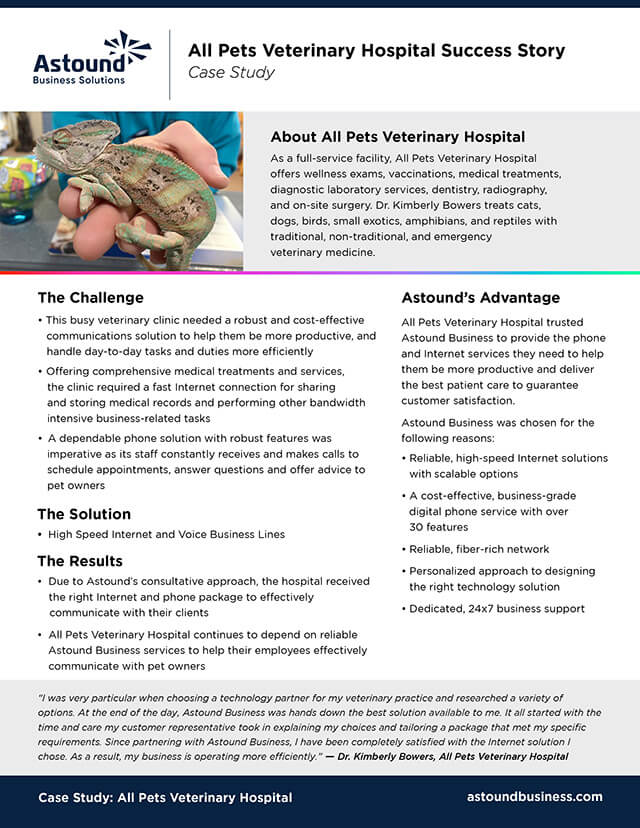 All Pets Veterinary Hospital case study cover: Veterinarian examines a pet iguana