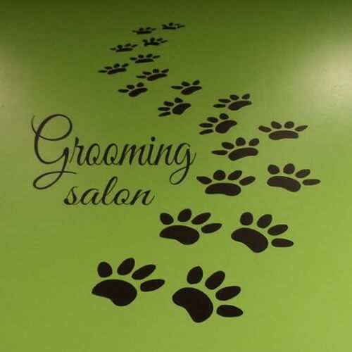 Canine Designs
