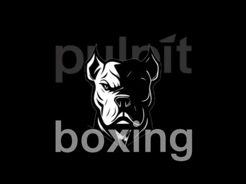 Pulpit Boxing