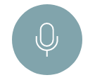 mic icon