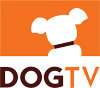 Dog-TV icon