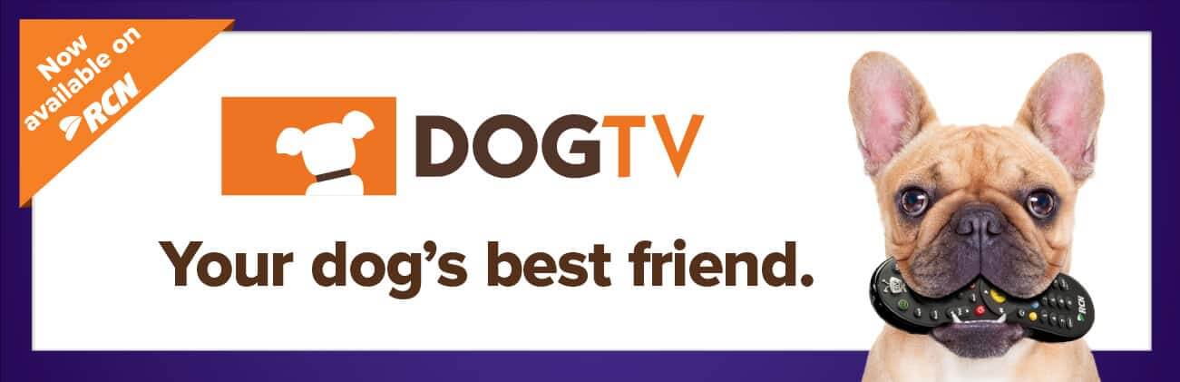 dog tv on firestick