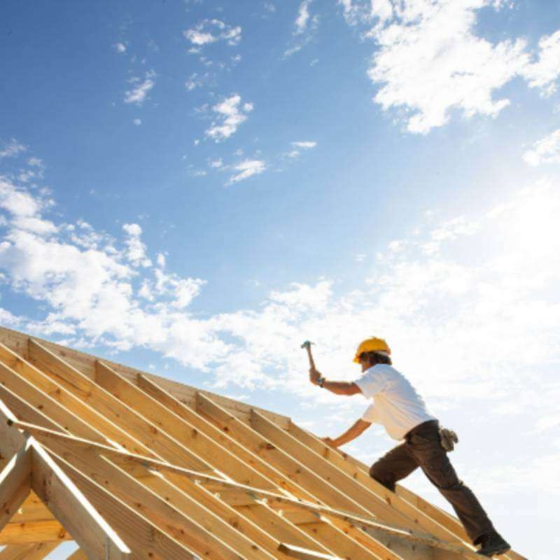 Habitat for Humanity