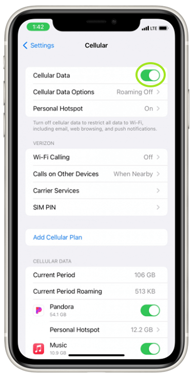 Settings - Cellular Data - Options - Data Rroaming on iPhone screen step 1