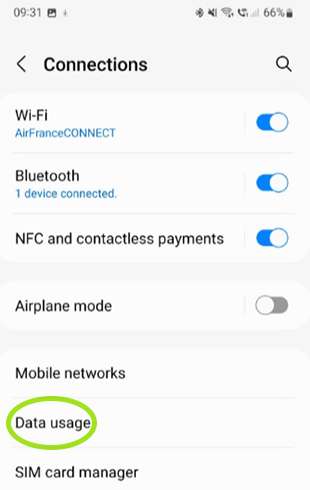 Settings - Data Usage - Restrict Background Data on Android screen 2
