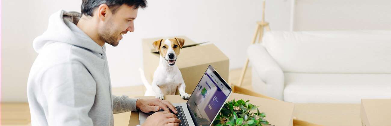Man and dog setting up wifi on laptop at new home