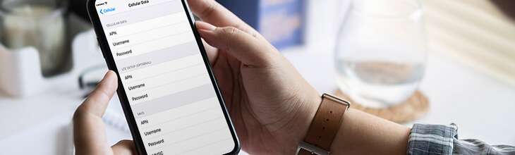 Hands hold a phone showing the APN option under Phone Settings on the screen