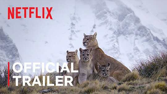 Predators, Season 1 trailer screen