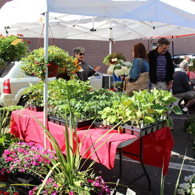 Lansdowne Community Day