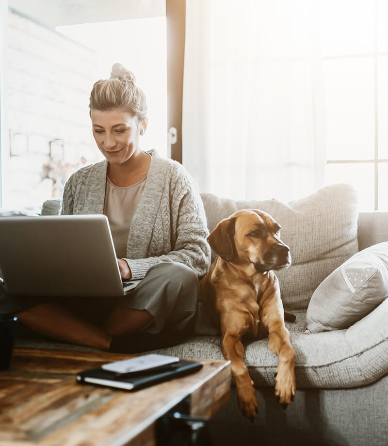 Find out about internet speeds for your apartment - woman and dog browse online