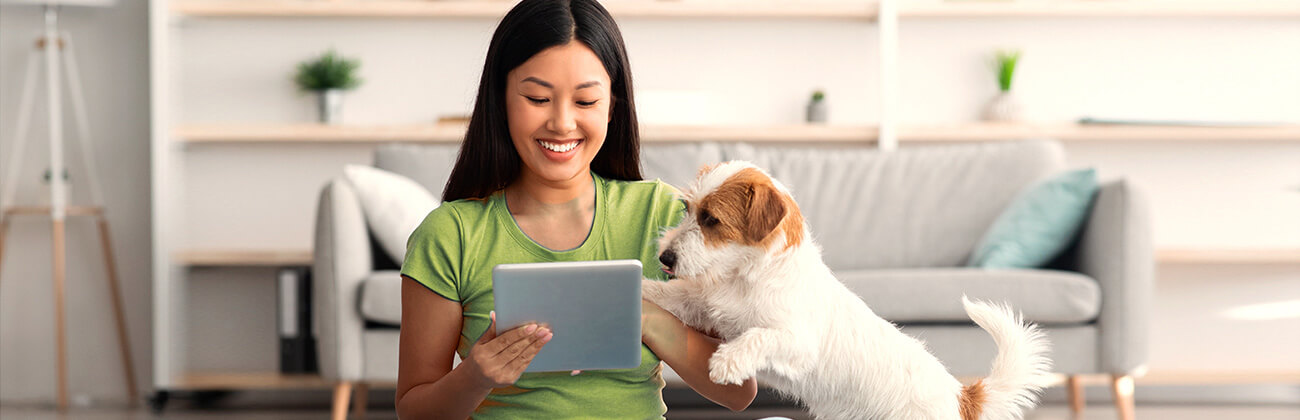 Smiling dark-haired woman with small fluffy dog quickly browses her tablet before walk time