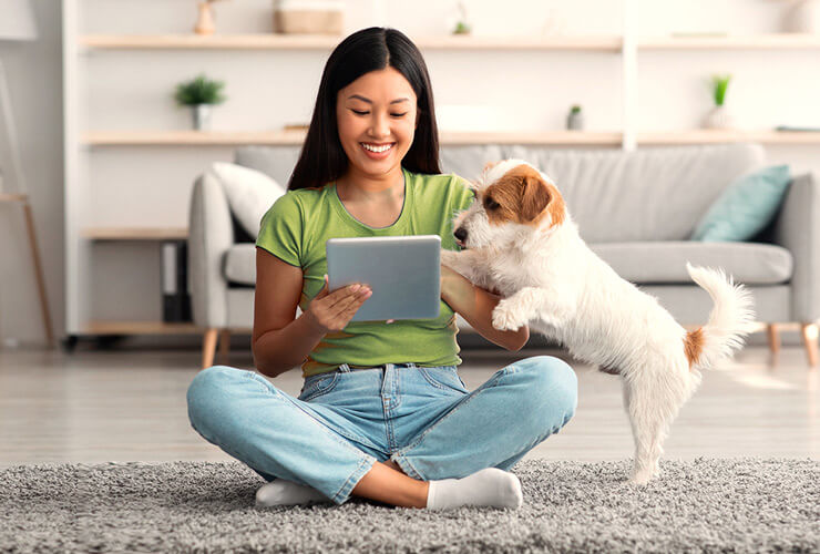 Woman with small fluffy dog quickly browses her tablet before walk time