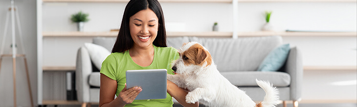 Smiling dark-haired woman with small fluffy dog quickly browses her tablet before walk time