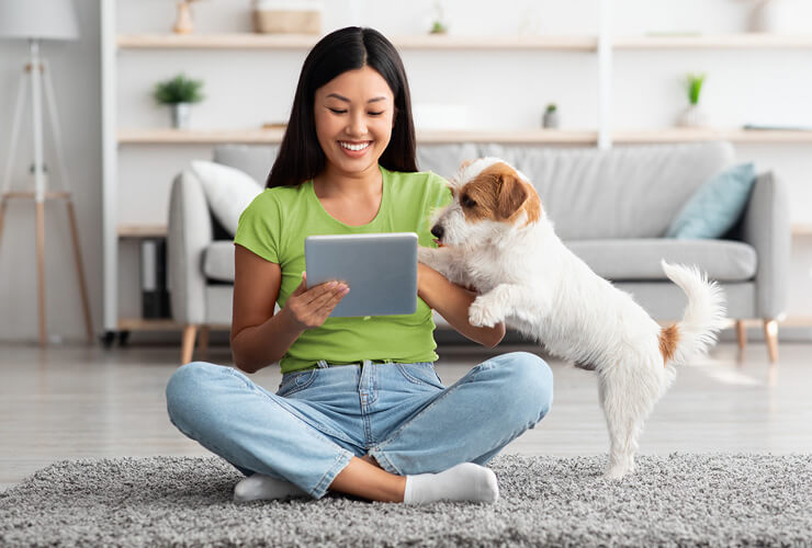 Smiling dark-haired woman with small fluffy dog quickly browses her tablet before walk time