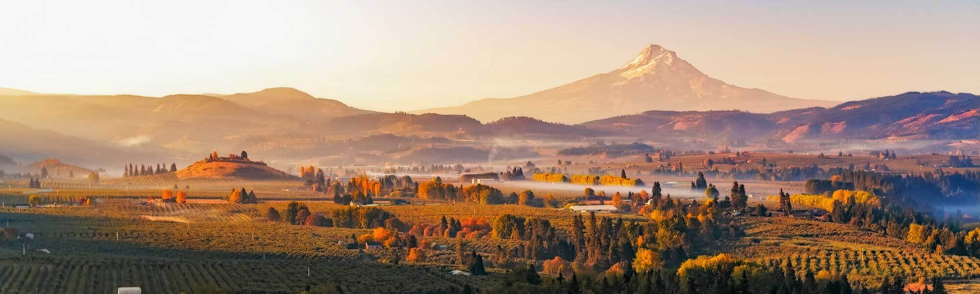 Coming Soon: Fiber Internet in Oregon