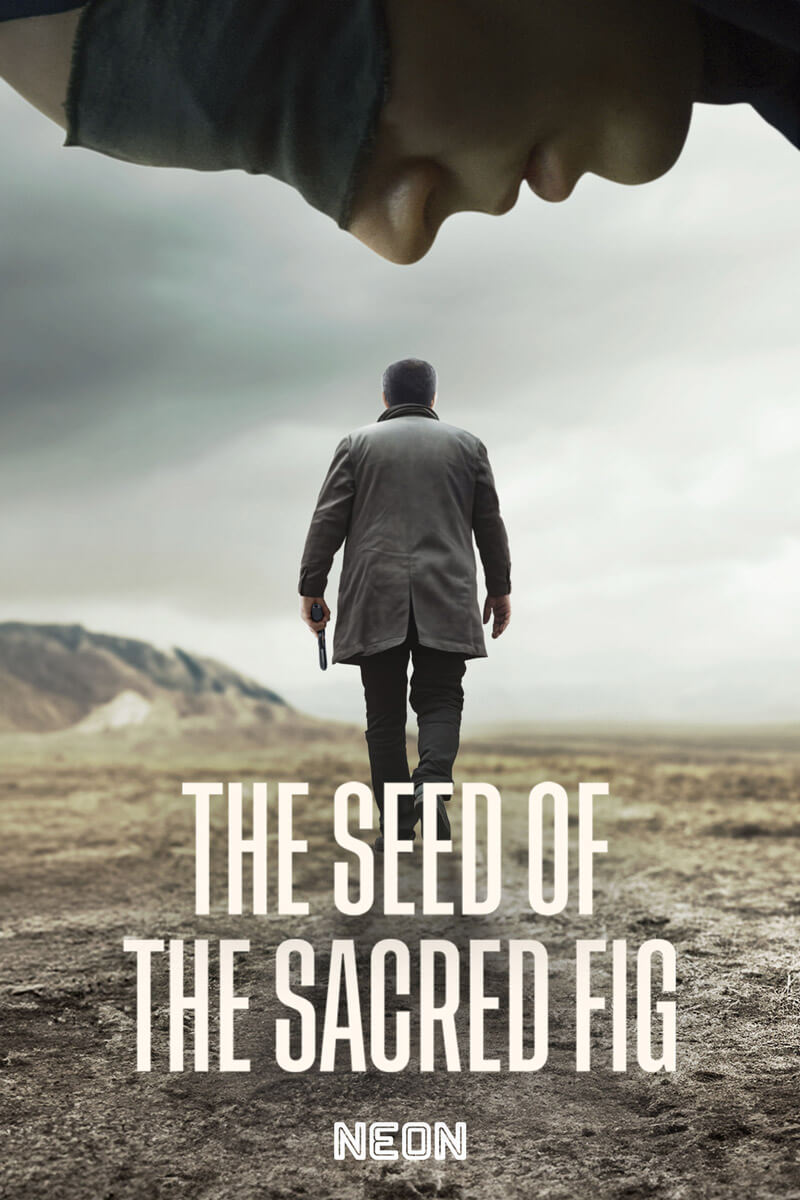 Seed of sacred fig