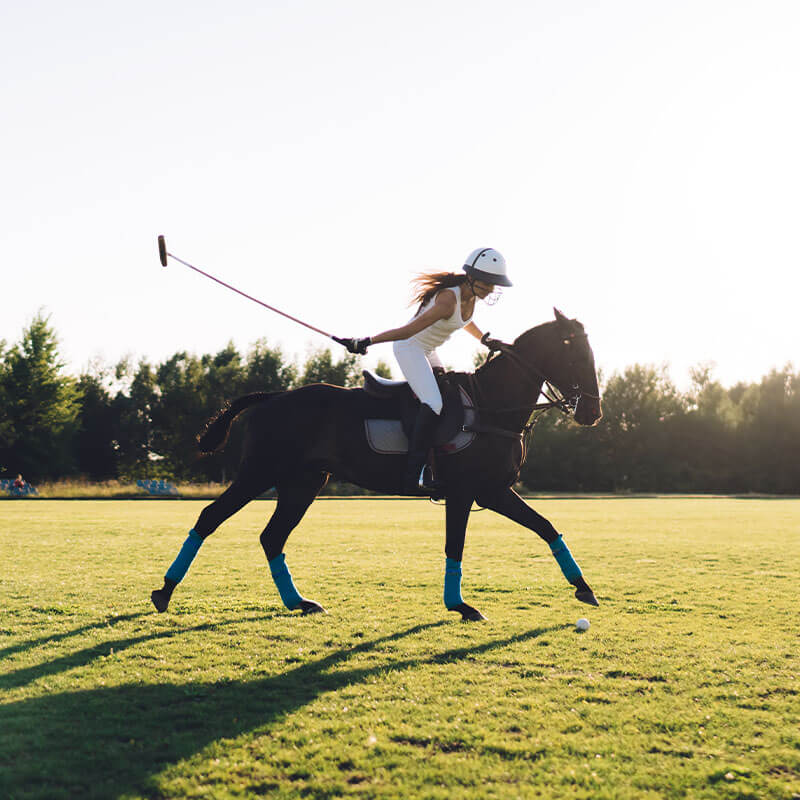 Polo for Equi-librium