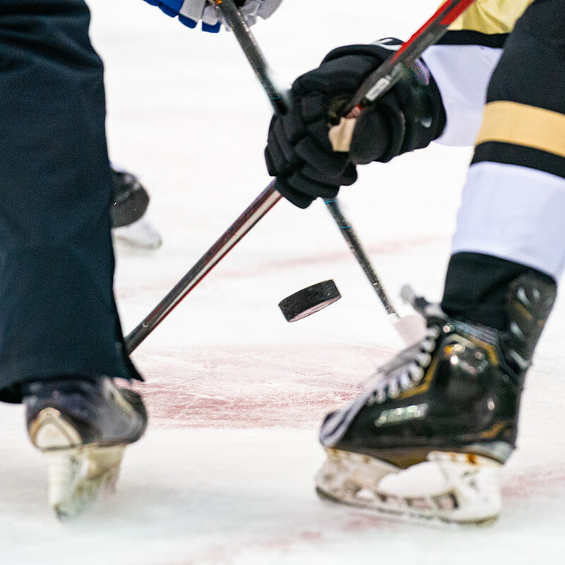 WBS Penguins Home Opener