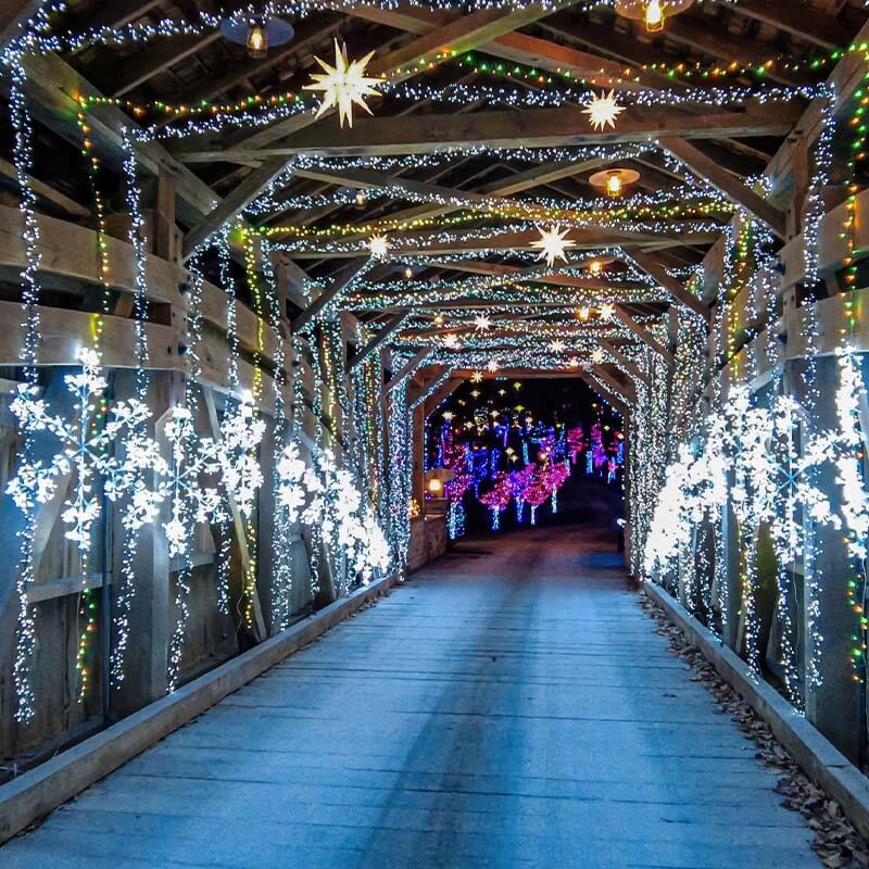 Lights in the Parkway