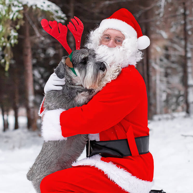 Santa's Wonderland & Reindog Parade